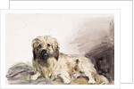 The Artist's Dog, c.1860 by John Adam P. Houston