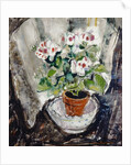 Pelargonium by Anne Redpath