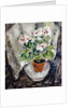Pelargonium by Anne Redpath