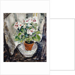 Pelargonium by Anne Redpath