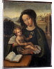 Madonna and Child by Italian School