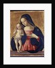 Madonna and Child, c.1500 by Italian School