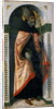 St. Augustine, c.1500 by Guidoccio di Giovanno Cozzarelli