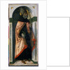 St. Augustine, c.1500 by Guidoccio di Giovanno Cozzarelli
