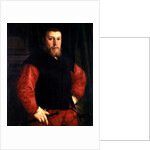 Hieronymus Sulczer, 1542 by Christoph Amberger