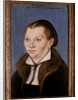 Katharina Luther, 1529 by Lucas the Elder Cranach