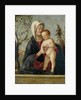 Madonna and Child, c.1510 by Marco Basaiti
