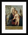 Madonna and Child, c.1510 by Marco Basaiti