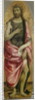 John the Baptist, c.1480 by Master of the Gardner Annunciation