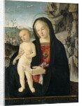 Madonna and Child, c.1500 by Italian School