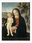 Madonna and Child, c.1500 by Italian School