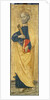 The Apostle Peter, c.1500 by Antoniazzo Romano