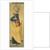The Apostle Peter, c.1500 by Antoniazzo Romano