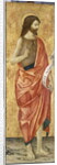John the Baptist, c.1500 by Antoniazzo Romano