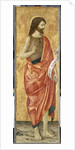 John the Baptist, c.1500 by Antoniazzo Romano