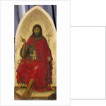 John the Baptist, c.1335 by Simone di Martino