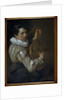 The Lute Player by Arie de Vois