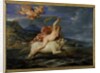 Europa and the Bull, 1650 by Frans Wouters