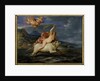 Europa and the Bull, 1650 by Frans Wouters