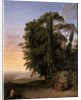 Landscape near Frascati, 1783 by Johann Heinrich Wilhelm Tischbein