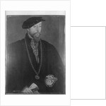 Portrait of Pankraz von Freyberg, 1545 by Hans Mielich or Muelich