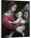 Madonna della Tenda, c.1512 by Raphael (1483-1520)