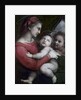 Madonna della Tenda, c.1512 by Raphael (1483-1520)