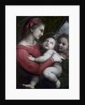 Madonna della Tenda, c.1512 by Raphael (1483-1520)