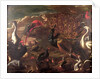The Birds and the Beasts by Jacob van der (1637-1712) Kerckhoven