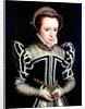 Portrait of a Lady, possibly Mary Queen of Scots by Anonymous
