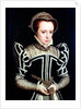 Portrait of a Lady, possibly Mary Queen of Scots by Anonymous