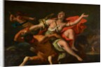The Rape of Deineira by Sebastiano Ricci