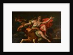 The Rape of Deineira by Sebastiano Ricci