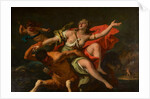 The Rape of Deineira by Sebastiano Ricci