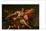 The Rape of Deineira by Sebastiano Ricci