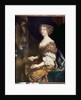 Anne, Countess of Exeter by Peter Lely