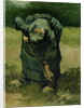 Peasant Woman Digging, 1885 by Vincent van Gogh