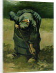 Peasant Woman Digging, 1885 by Vincent van Gogh