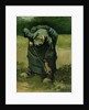 Peasant Woman Digging, 1885 by Vincent van Gogh