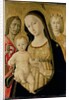 Madonna and Child with St. John the Baptist and St. Michael the Archangel, c.1485-95 by Matteo di Giovanni di Bartolo