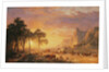 The Oregon Trail, 1869 by Albert Bierstadt