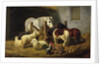 Barnyard, 1860 by Arthur Fitzwilliam Tait