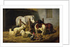 Barnyard, 1860 by Arthur Fitzwilliam Tait