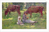 Watching the Cows by Theodore Robinson