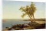 Shore Line in Summer by John Frederick Kensett