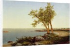 Shore Line in Summer by John Frederick Kensett