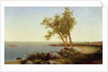 Shore Line in Summer by John Frederick Kensett