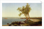 Shore Line in Summer by John Frederick Kensett