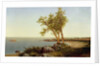 Shore Line in Summer by John Frederick Kensett