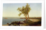 Shore Line in Summer by John Frederick Kensett